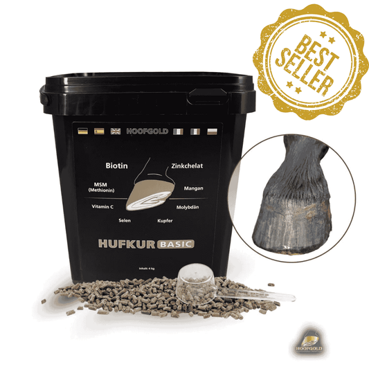 Hoofgold Hufkur-Basic 4 kg