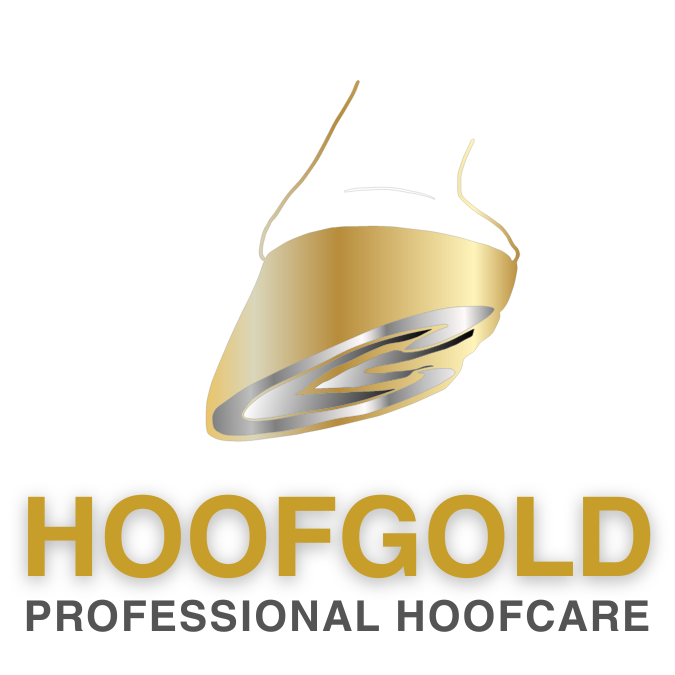 HOOFGOLD Gutschein